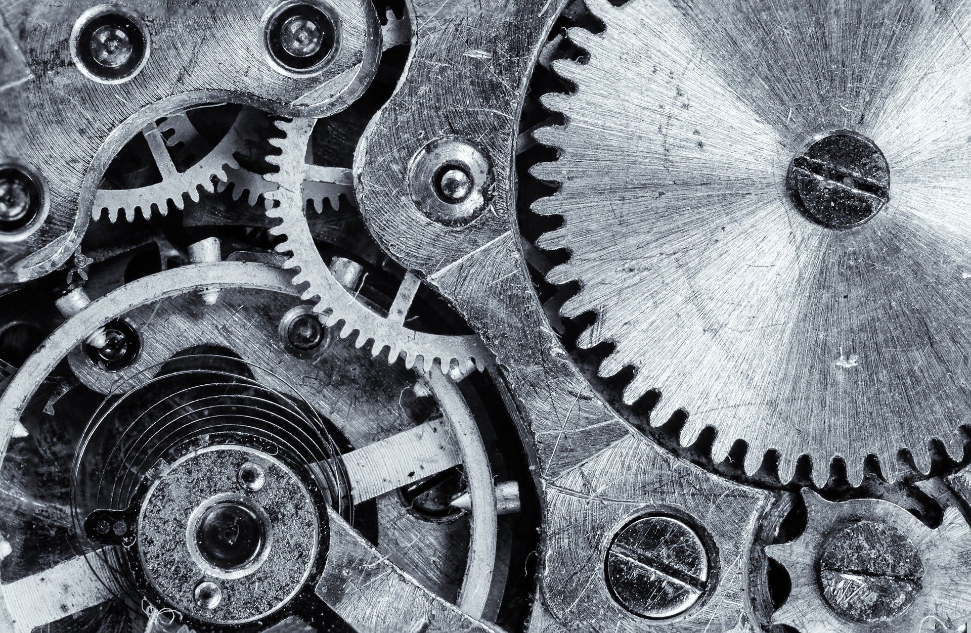 Internal Process - Human Body Systems for Startup